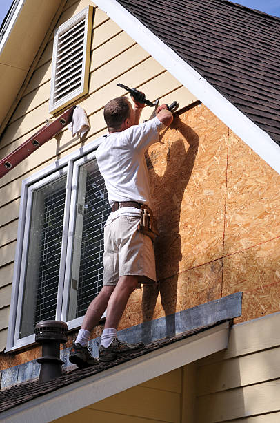 Affordable siding repair and maintenance services in Sterling, VA